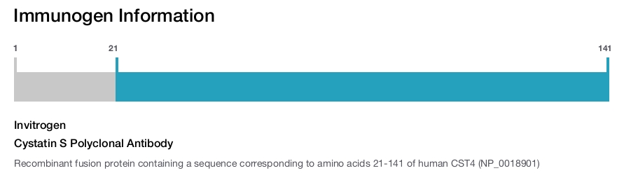 Cystatin S Polyclonal Antibody