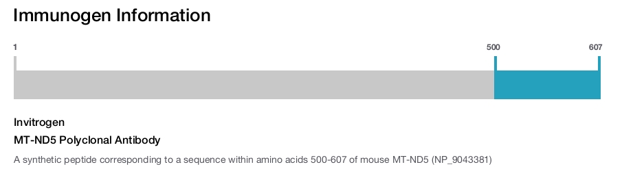 MT-ND5 Polyclonal Antibody