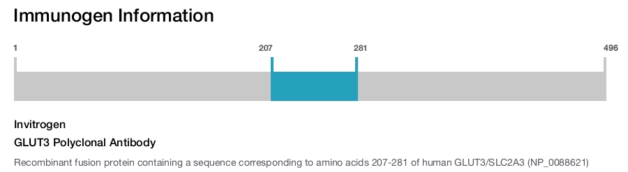 GLUT3 Polyclonal Antibody
