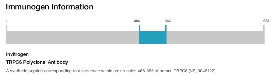 TRPC6 Polyclonal Antibody
