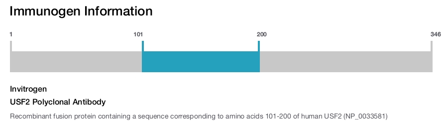 USF2 Polyclonal Antibody