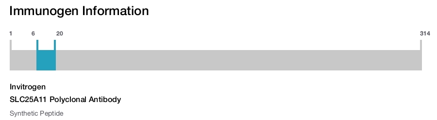 SLC25A11 Polyclonal Antibody