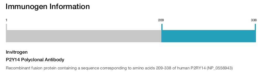 P2Y14 Polyclonal Antibody