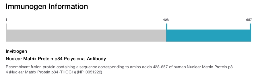 Nuclear Matrix Protein p84 Polyclonal Antibody