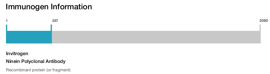 Ninein Polyclonal Antibody