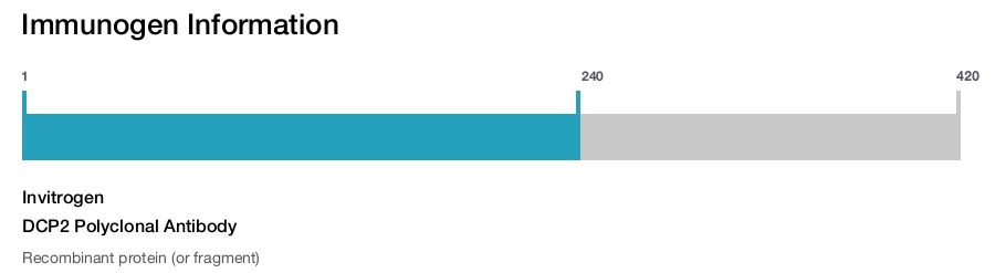 DCP2 Polyclonal Antibody