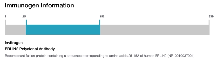 ERLIN2 Polyclonal Antibody