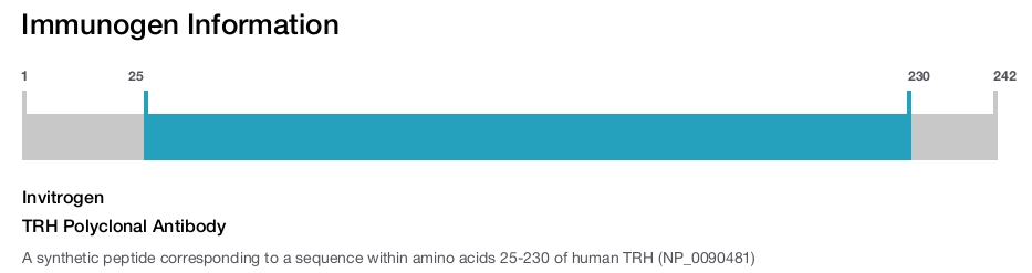 TRH Polyclonal Antibody