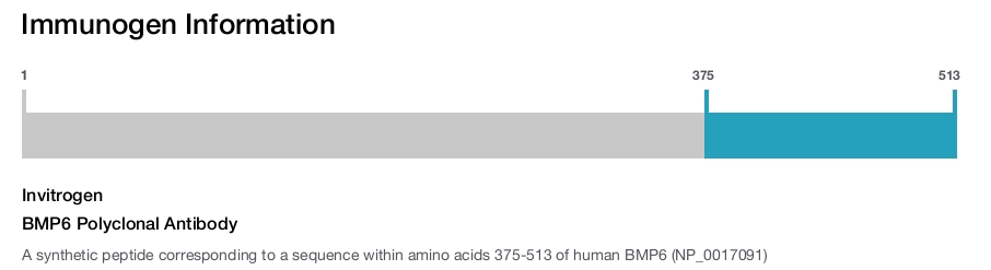 BMP6 Polyclonal Antibody