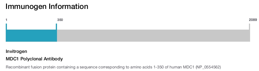 MDC1 Polyclonal Antibody