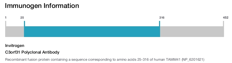 C3orf31 Polyclonal Antibody