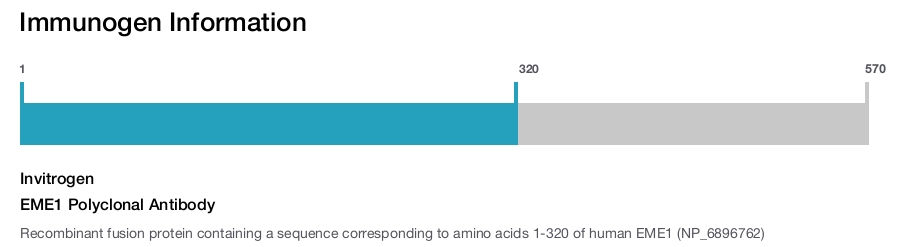 EME1 Polyclonal Antibody