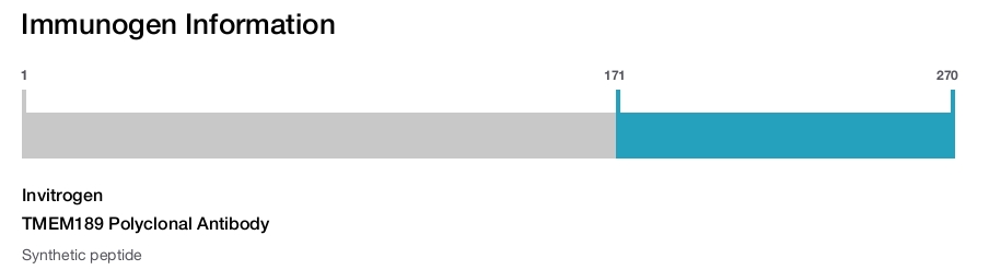 TMEM189 Polyclonal Antibody