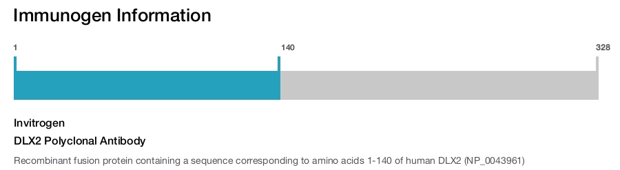 DLX2 Polyclonal Antibody