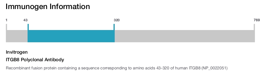 ITGB8 Polyclonal Antibody