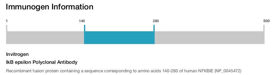 IkB epsilon Polyclonal Antibody