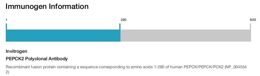 PEPCK2 Polyclonal Antibody