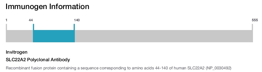 SLC22A2 Polyclonal Antibody