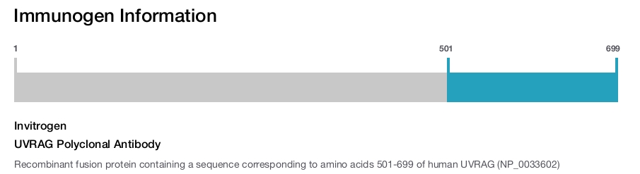 UVRAG Polyclonal Antibody