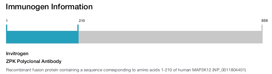 ZPK Polyclonal Antibody