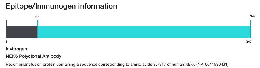 NEK6 Polyclonal Antibody