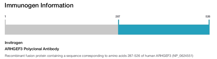 ARHGEF3 Polyclonal Antibody