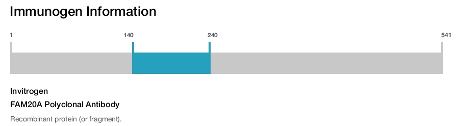 FAM20A Polyclonal Antibody