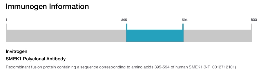 SMEK1 Polyclonal Antibody
