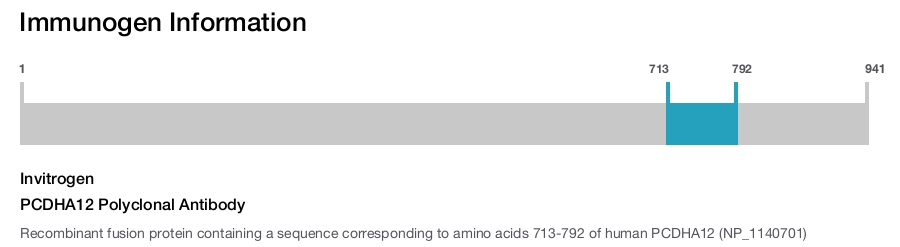 PCDHA12 Polyclonal Antibody