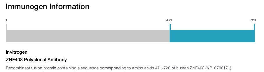 ZNF408 Polyclonal Antibody