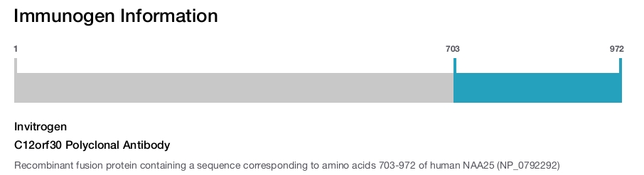 C12orf30 Polyclonal Antibody