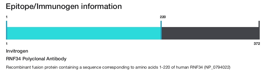 RNF34 Polyclonal Antibody