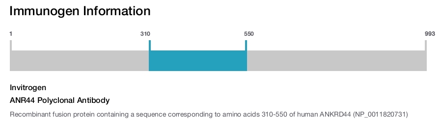 ANR44 Polyclonal Antibody