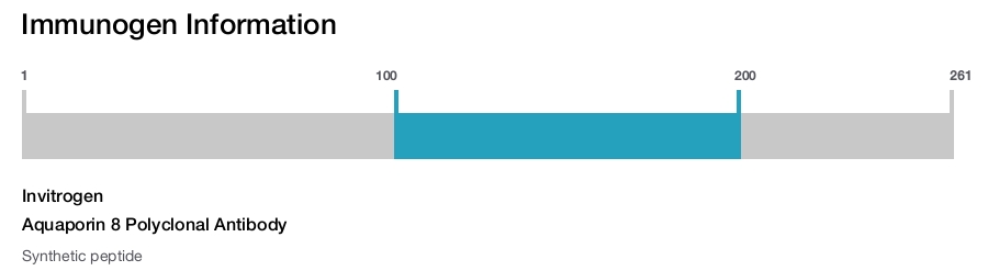 Aquaporin 8 Polyclonal Antibody