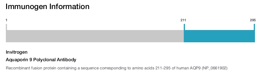Aquaporin 9 Polyclonal Antibody