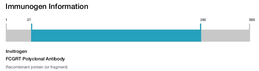 FCGRT Polyclonal Antibody