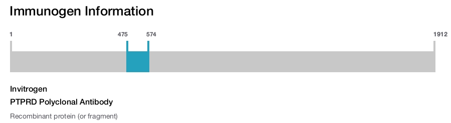 PTPRD Polyclonal Antibody