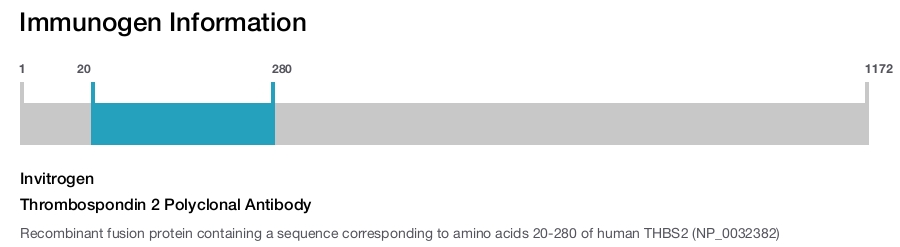Thrombospondin 2 Polyclonal Antibody