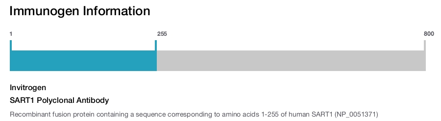 SART1 Polyclonal Antibody