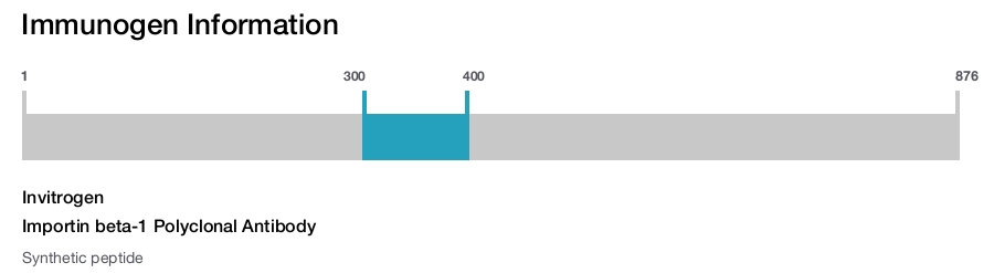 Importin beta-1 Polyclonal Antibody
