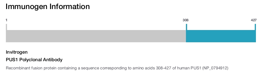PUS1 Polyclonal Antibody