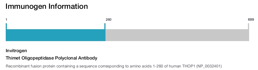 Thimet Oligopeptidase Polyclonal Antibody
