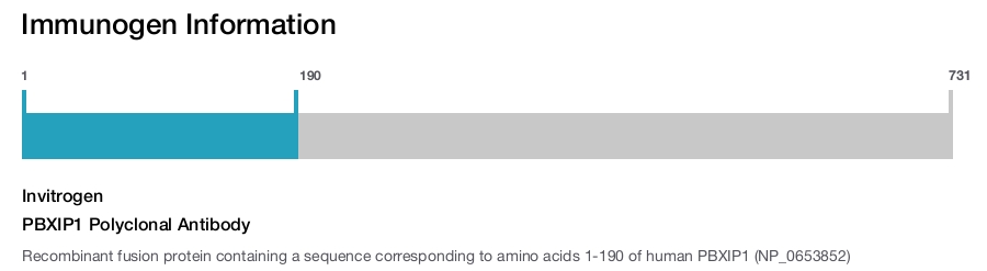 PBXIP1 Polyclonal Antibody
