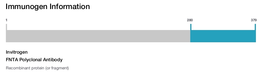 FNTA Polyclonal Antibody