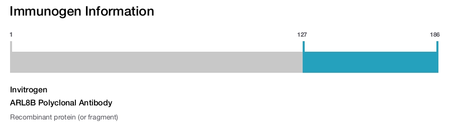 ARL8B Polyclonal Antibody