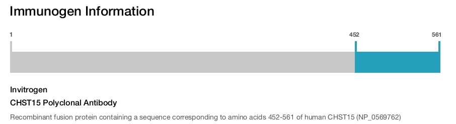 CHST15 Polyclonal Antibody