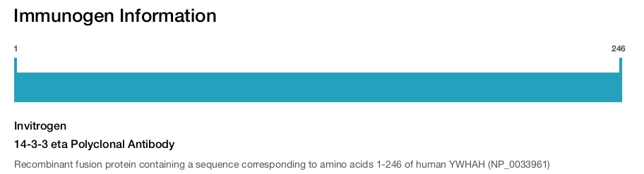 14-3-3 eta Polyclonal Antibody