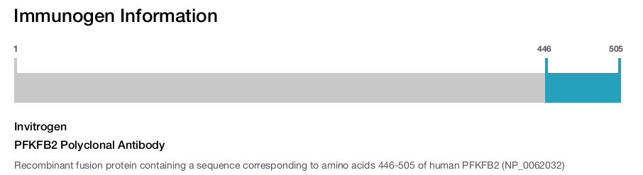 PFKFB2 Polyclonal Antibody