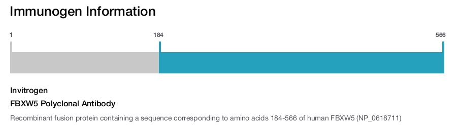 FBXW5 Polyclonal Antibody