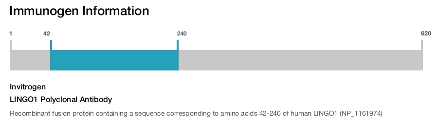 LINGO1 Polyclonal Antibody